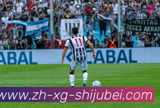 世界杯赛程表平台生态图